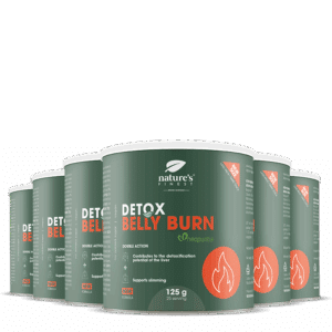Detox Belly Burn 6x pacote
