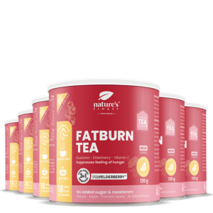 FatBurn Tea 6x pacote