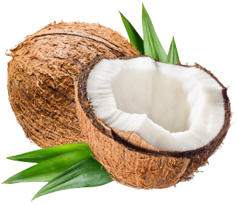 Coco em pó