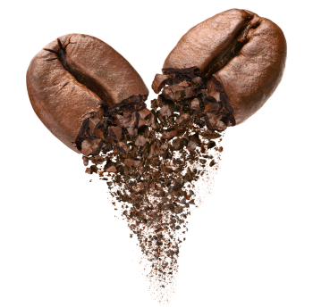 Grãos de café arábica