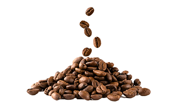Café instantâneo (Coffea arabica L.)