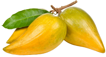 Lúcuma