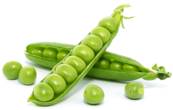 Proteína de ervilha