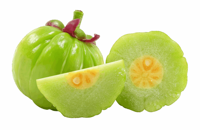 Extrato de Garcinia Cambogia