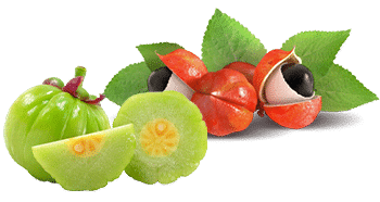 Guaraná e Garcinia Cambogia