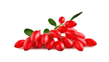 Rebersa ® (Extrato de Berberina)