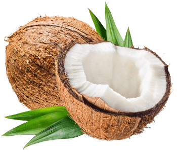 Pó para bebida de coco