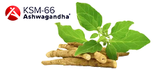 KSM-66 Ashwagandha®