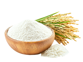 Farinha de arroz (Oryza sativa)