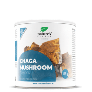 Cogumelo Chaga em pó